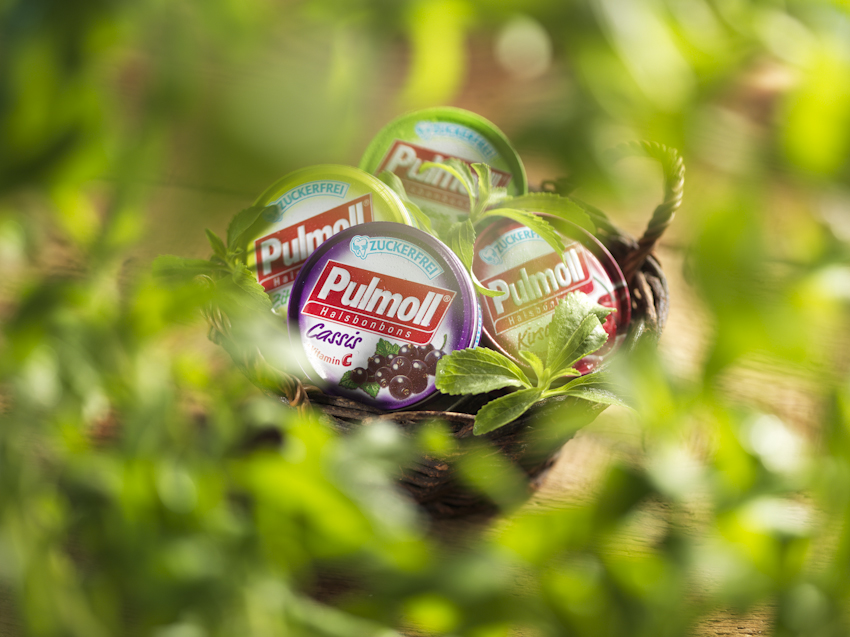 stevia-image